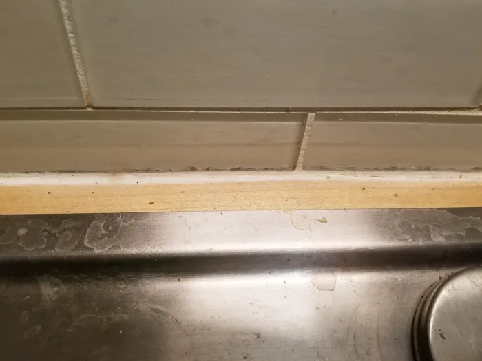 Paul Davis Restoration of New Mexico Picture 7