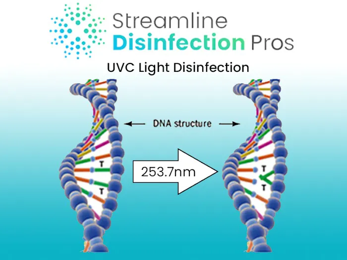 Streamline Disinfection Pros Picture 5