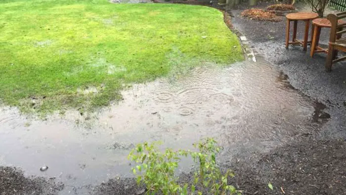 Ram Jack of New Mexico, Inc. Picture 9