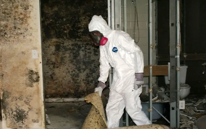 Mold Removal Picture 3