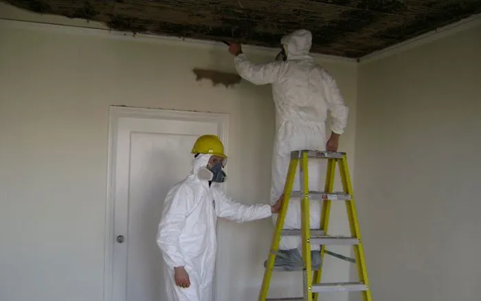 Mold Removal Picture 2