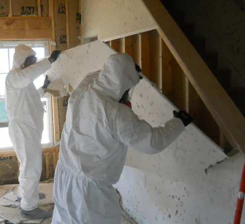 Mold Removal Picture 5