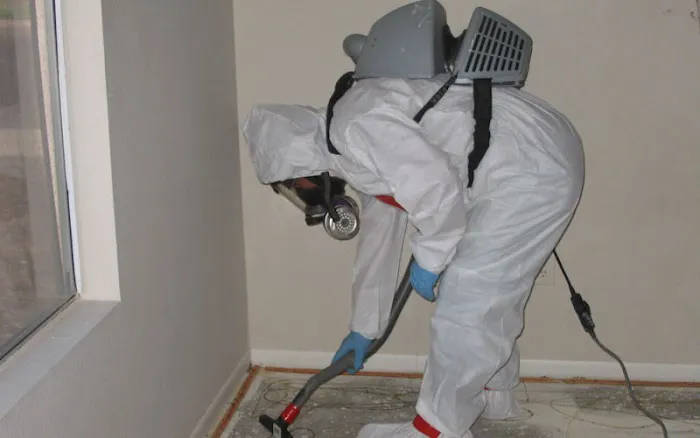 Mold Removal Picture 4