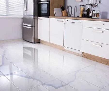 Steamatic of Albuquerque and Santa Fe