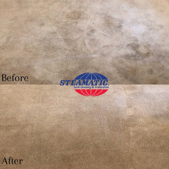 Steamatic of Albuquerque and Santa Fe Picture 6