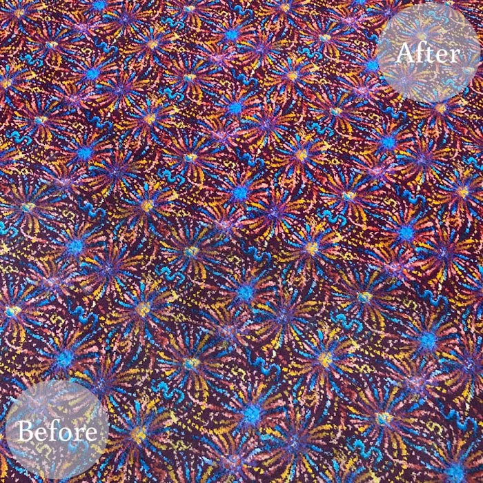 Steamatic of Albuquerque and Santa Fe Picture 9