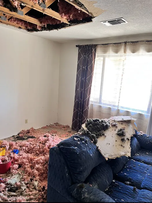 AAA Restoration & Construction Services, Inc Picture 9