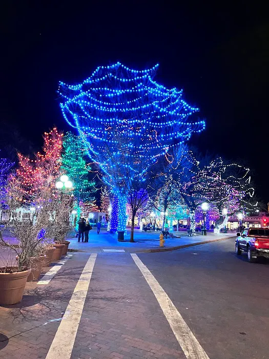 ServiceMaster Fire Rapid Response Picture 8