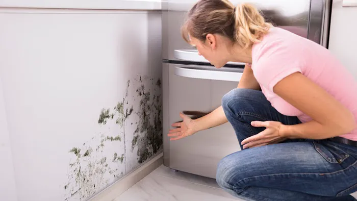 Archuleta Restoration and Remodel Picture 1