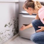 Archuleta Restoration and Remodel