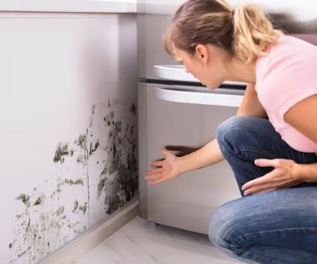 Archuleta Restoration and Remodel