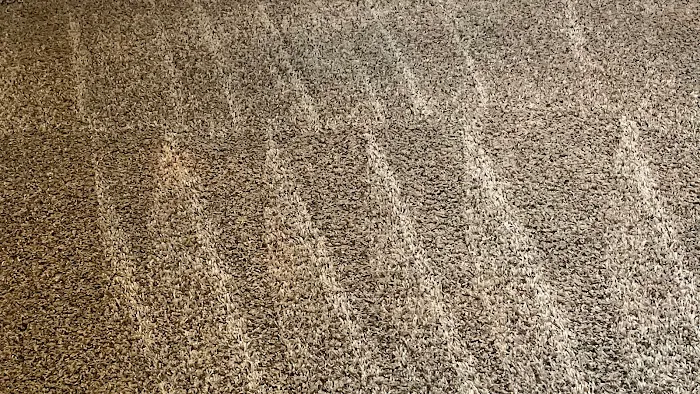 Caring Carpet Care, llc Picture 8