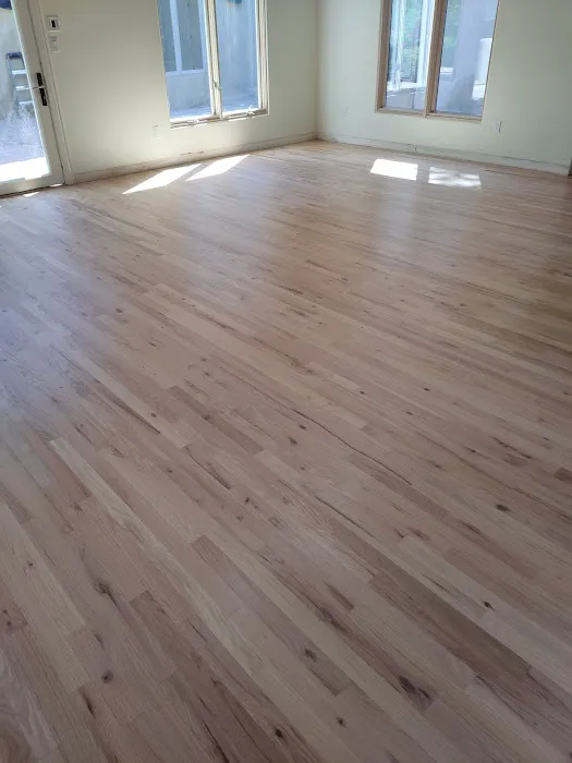 NewTech Restoration LLC Picture 4