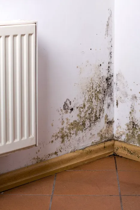 DNA Restoration Services Picture 3