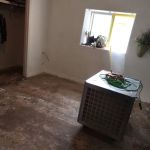 DNA Restoration Services