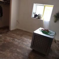 DNA Restoration Services ico