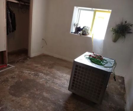 DNA Restoration Services