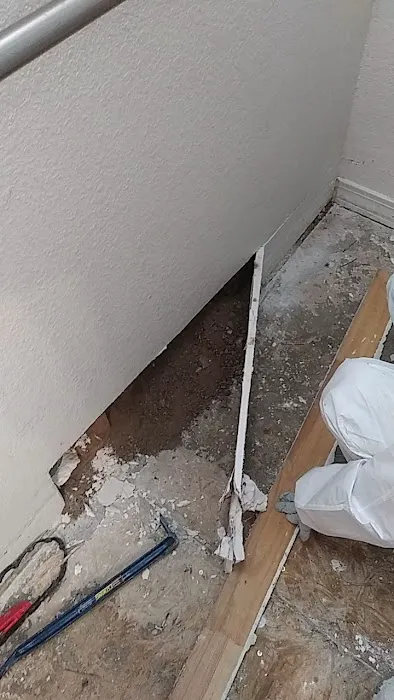 DNA Restoration Services Picture 6