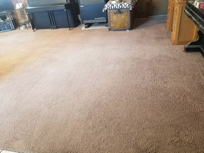 Stanley Steemer Picture 3