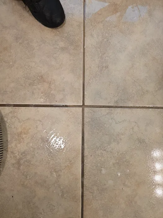 Stanley Steemer Picture 1