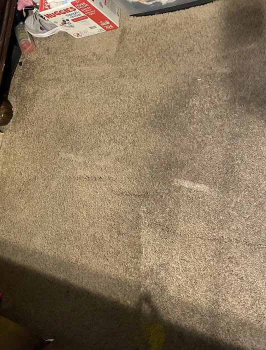 Stanley Steemer Picture 6