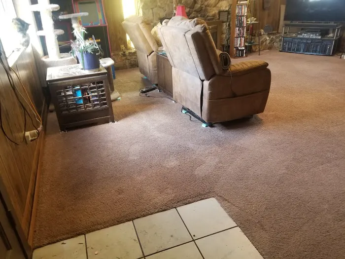 Stanley Steemer Picture 5