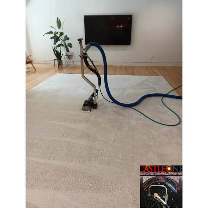 Castle One Rotary Steam Carpet Picture 2