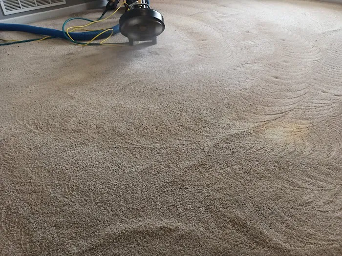 Castle One Rotary Steam Carpet Picture 1