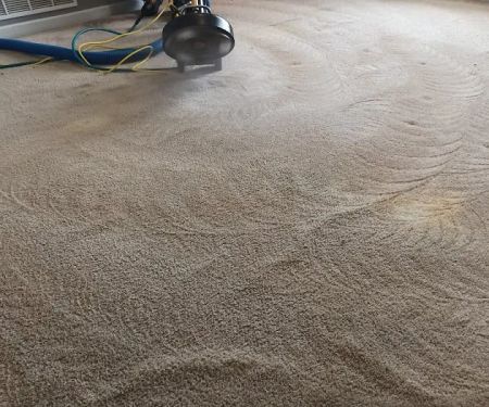 Castle One Rotary Steam Carpet