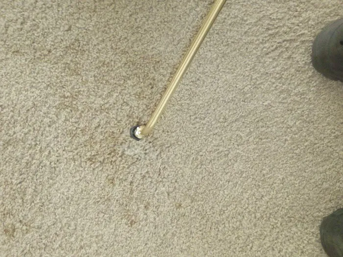 Castle One Rotary Steam Carpet Picture 4