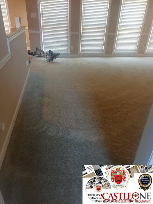 Castle One Rotary Steam Carpet Picture 6