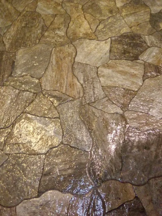 Castle One Rotary Steam Carpet Picture 5