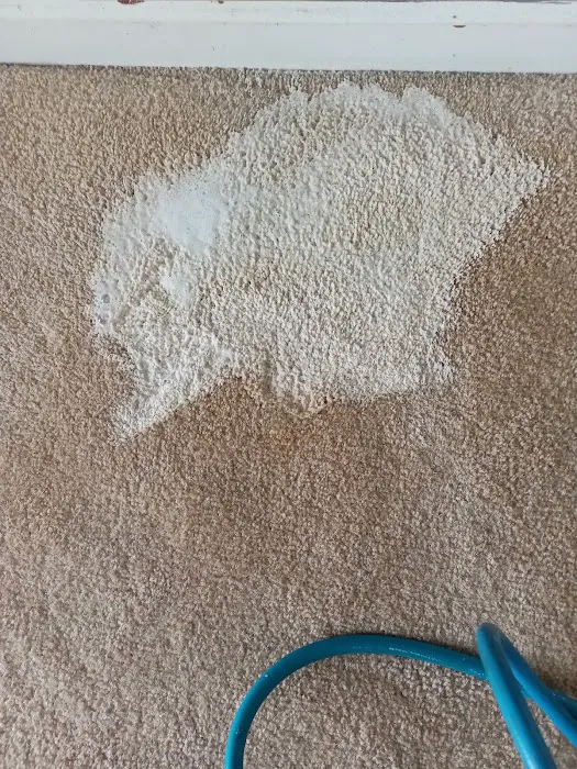 Castle One Rotary Steam Carpet Picture 10