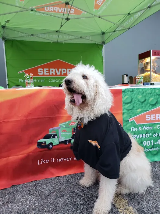 SERVPRO of Midtown Memphis Picture 5