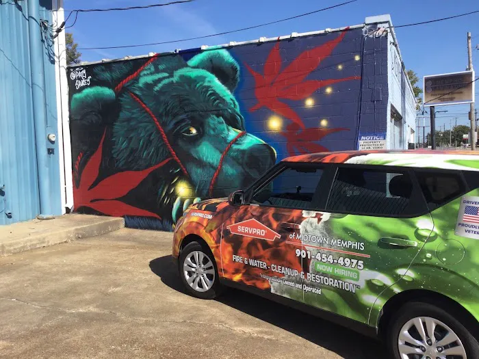 SERVPRO of Midtown Memphis Picture 6