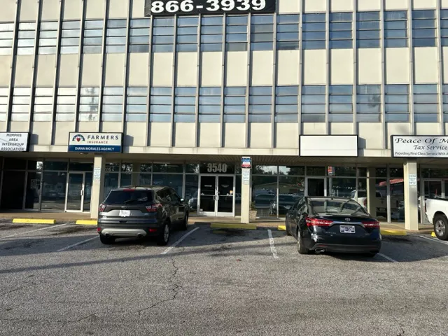 Shield Environmental Services Mold Removal Picture 4