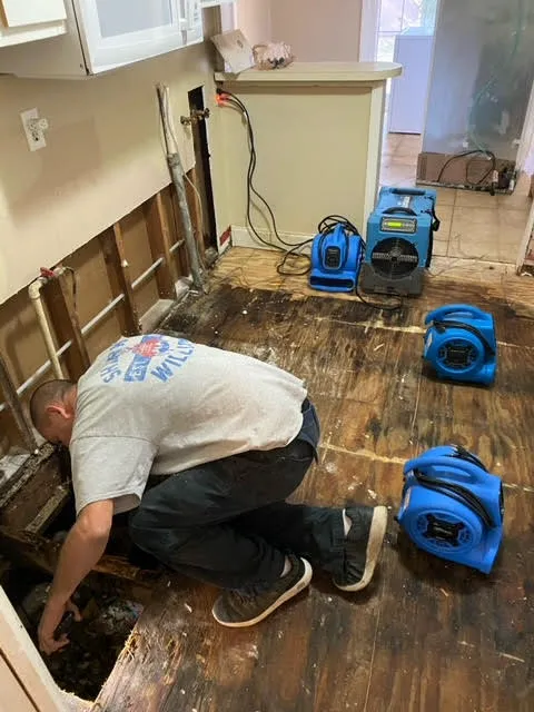 AFM Restoration INC Picture 2