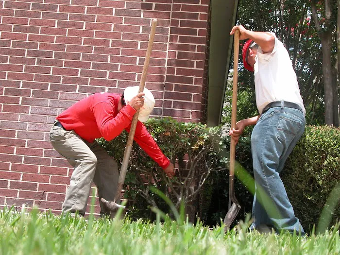 Olshan Foundation Repair Picture 9