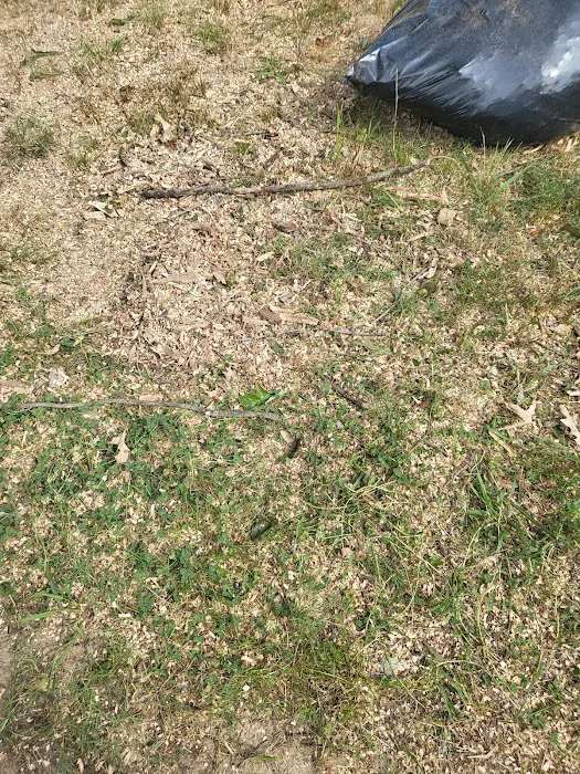 Crievewood Water Damage Services Picture 1