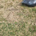 Crievewood Water Damage Services