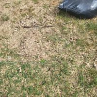 Crievewood Water Damage Services ico