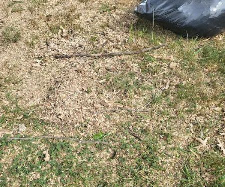 Crievewood Water Damage Services