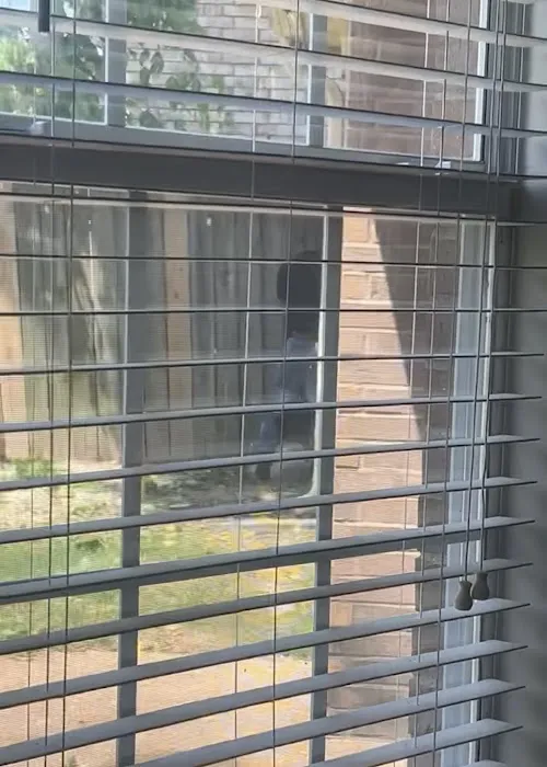 Crievewood Water Damage Services Picture 2