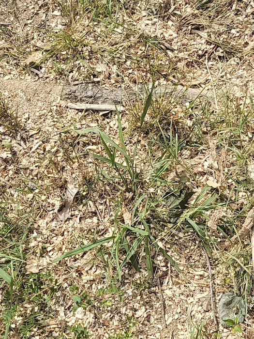 Crievewood Water Damage Services Picture 4