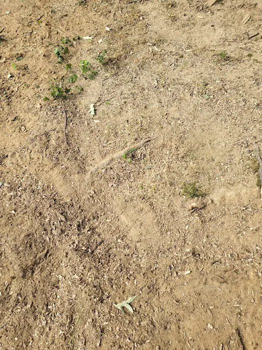 Crievewood Water Damage Services Picture 6