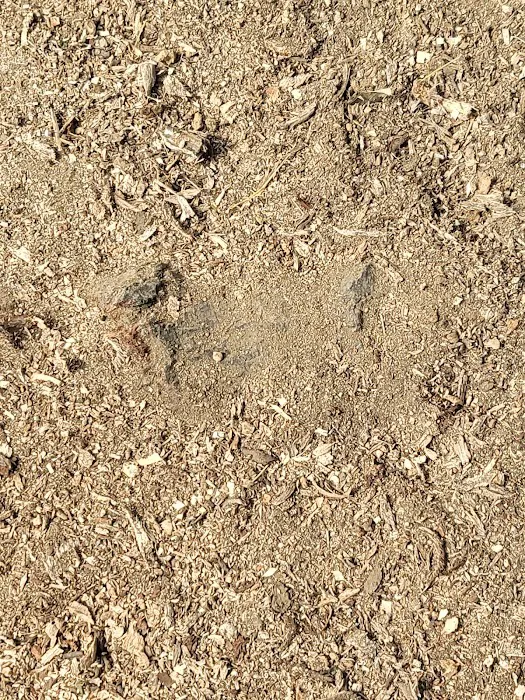 Crievewood Water Damage Services Picture 8