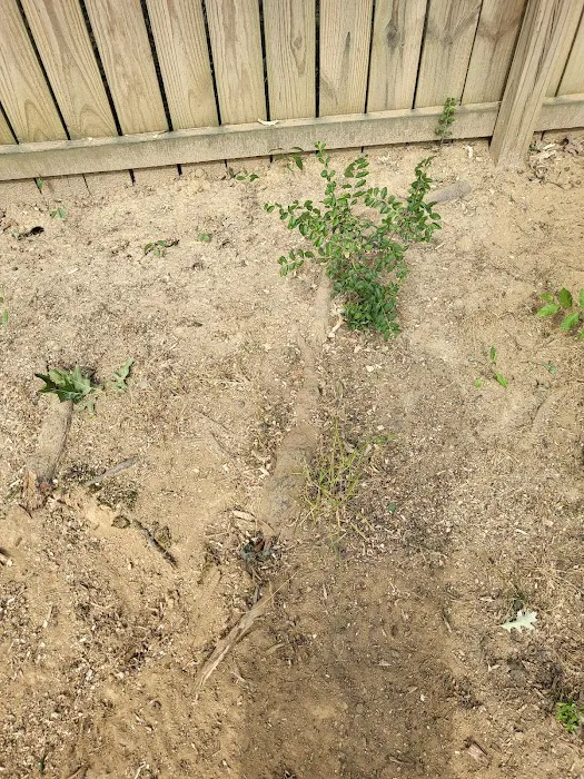 Crievewood Water Damage Services Picture 9