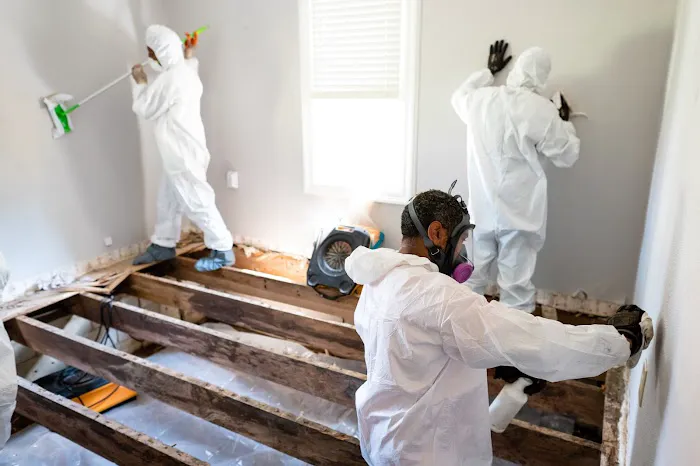 911 Restoration of Memphis Metro Picture 2