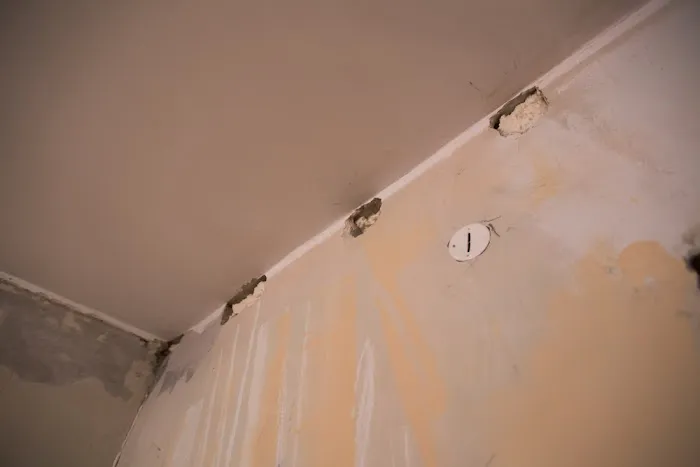 TennBest Emergency Removal Picture 7