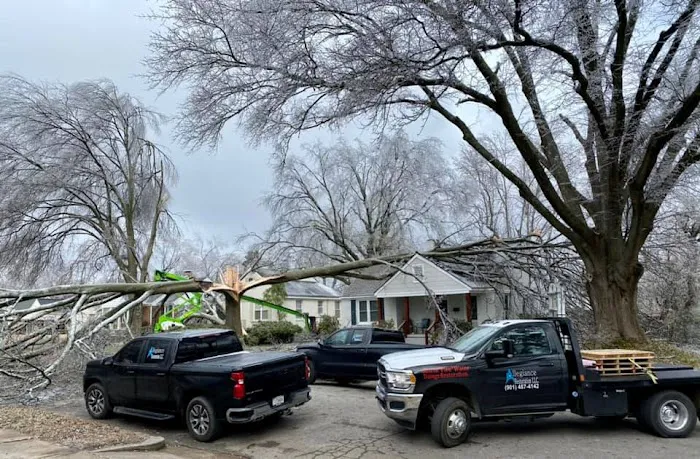 Allegiance LLC Picture 2